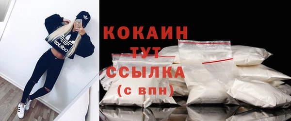 ПСИЛОЦИБИНОВЫЕ ГРИБЫ Магас
