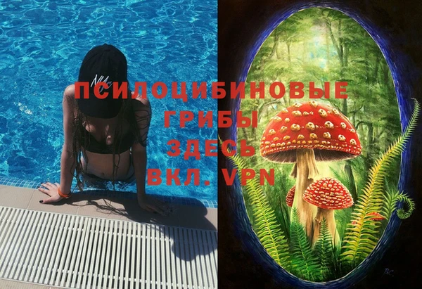 ПСИЛОЦИБИНОВЫЕ ГРИБЫ Магас