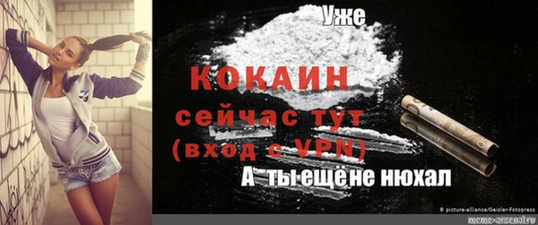 ПСИЛОЦИБИНОВЫЕ ГРИБЫ Магас