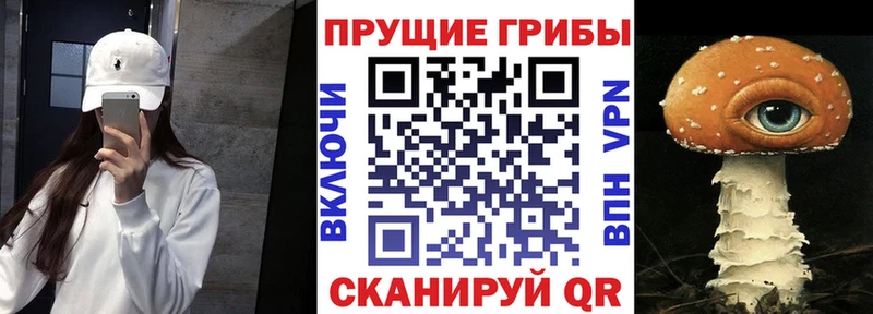Галлюциногенные грибы Psilocybine cubensis  наркотики  Янаул 