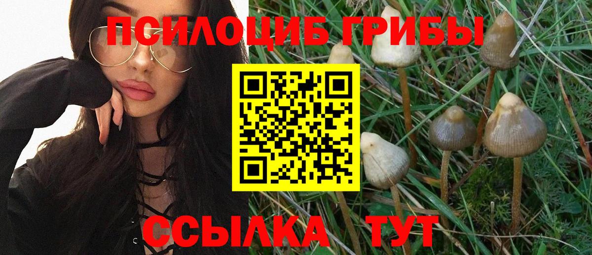 Псилоцибиновые грибы Magic Shrooms  Вход с VPN  Янаул 